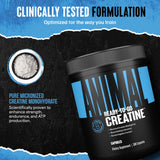 Animal Creatine Capsules on gym equipment
