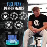 Animal Creatine Chews Candy Crush'd Flavor chewable tablets
