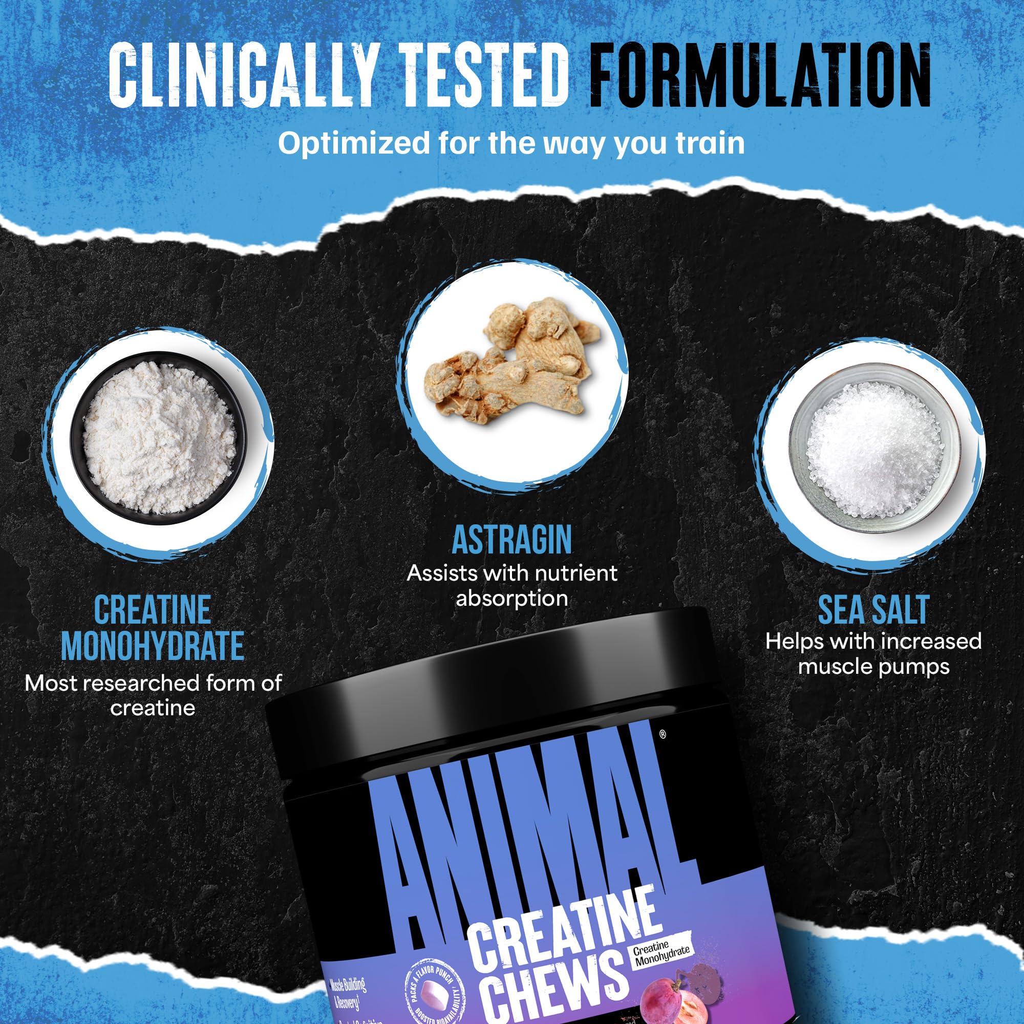 Animal Creatine Chews displayed on a gym bench