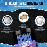 Animal Creatine Chews displayed on a gym bench