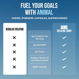Animal Creatine HMB+ 342g Power Punch packaging