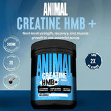 Animal Creatine HMB+ powder in a scoop