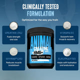 Animal Creatine HMB+ powder with measuring scoop