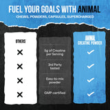 Animal Creatine Monohydrate 300g on a gym bench