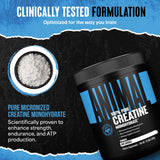 Animal Creatine Monohydrate 300g with protein shake ingredients