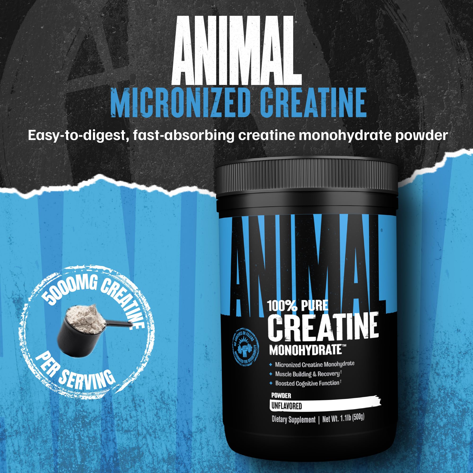 Animal Creatine Monohydrate Powder 454g back view
