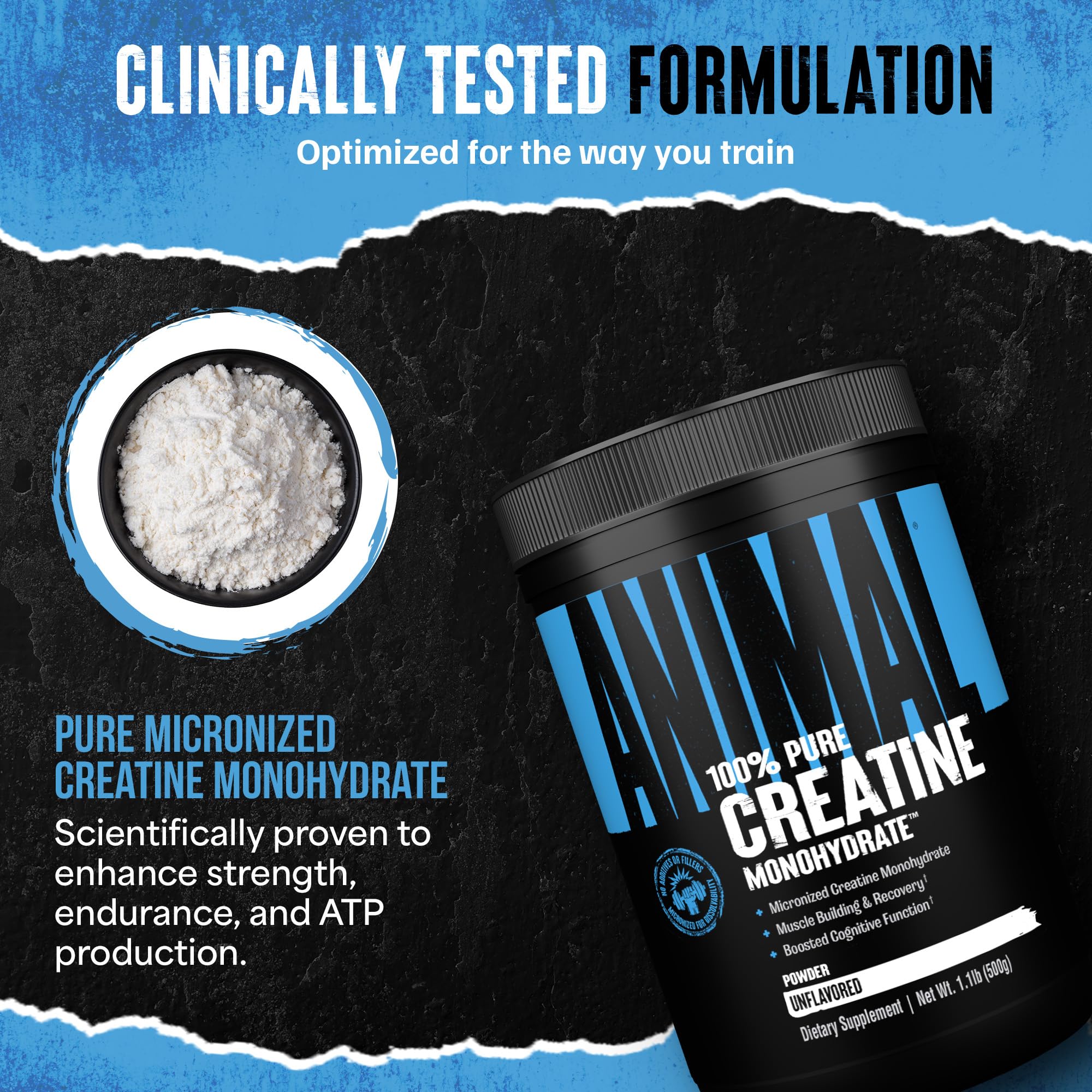Animal Creatine Monohydrate Powder 454g in a gym setting