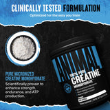 Animal Creatine Monohydrate Powder being mixed in a shaker