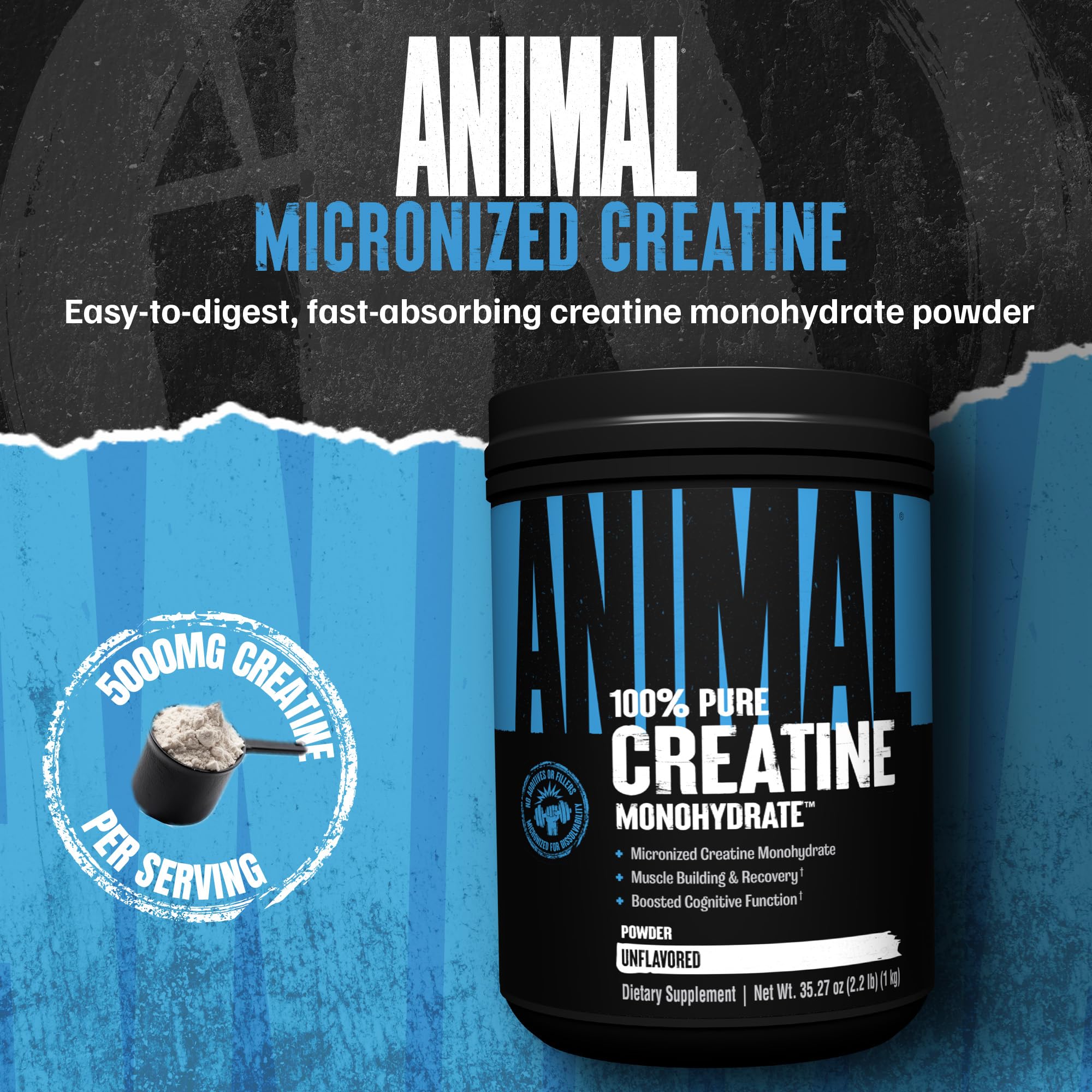 Animal Creatine Monohydrate Powder side view with serving scoop