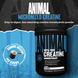Animal Creatine Monohydrate Powder side view with serving scoop