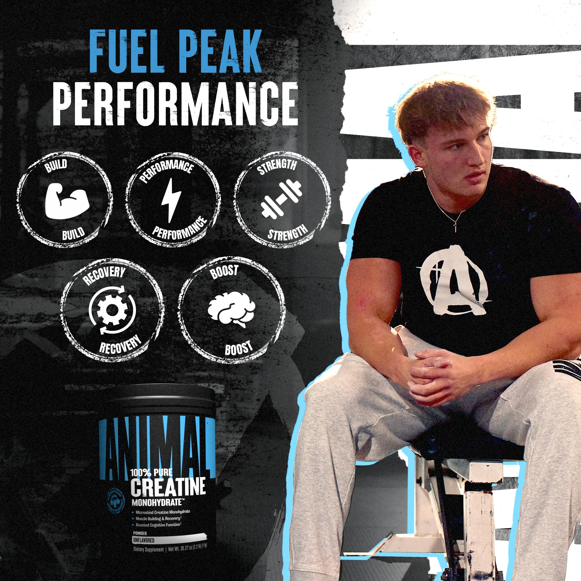 Animal Creatine Monohydrate Powder unflavored powder in a bowl