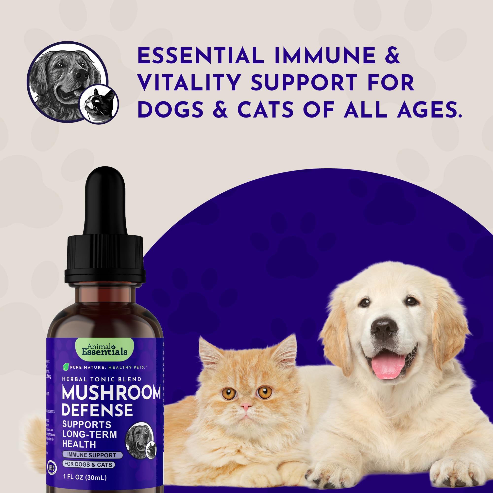 Animal Essentials Herbal Mushroom Tincture usage instructions