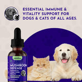 Animal Essentials Herbal Mushroom Tincture usage instructions