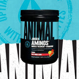 Animal Juiced Aminos + Hydration BCAA EAA Powder side view