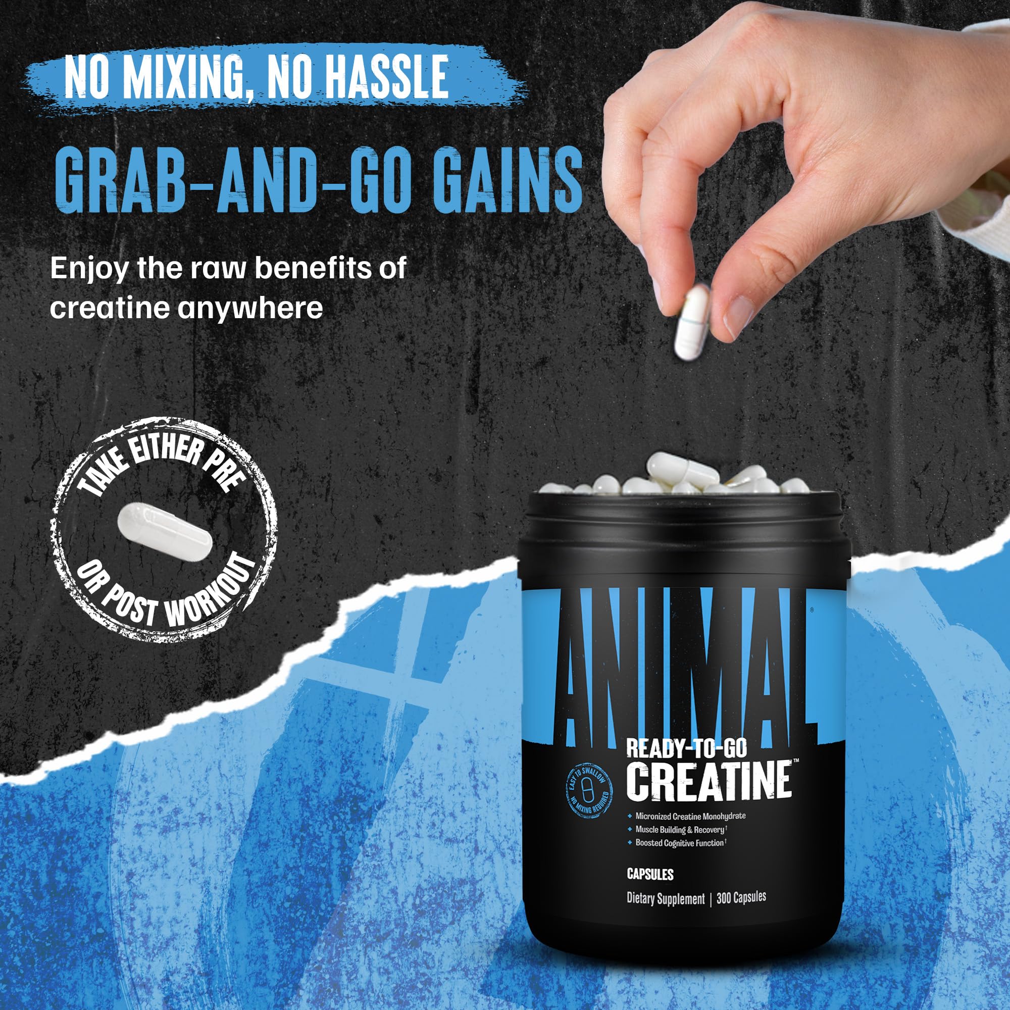 Animal Micronized Creatine Capsules displayed with fitness gear