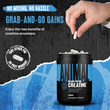 Animal Micronized Creatine Capsules displayed with fitness gear