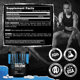 Animal Micronized Creatine Capsules showing capsule size