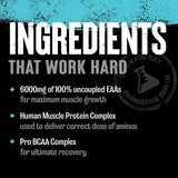 Animal Nitro Essential Amino Acids pack in gym bag