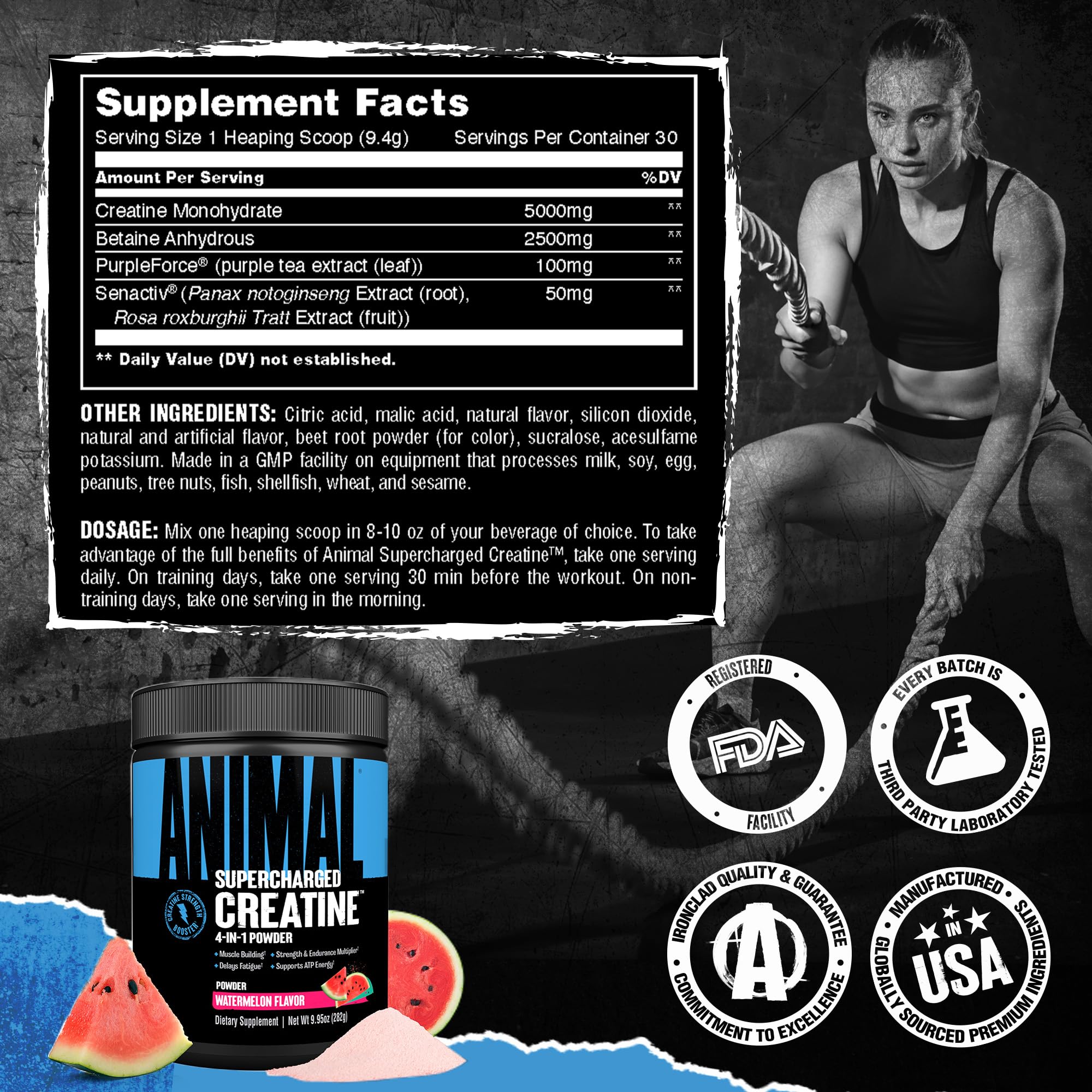 Animal Supercharged Creatine Monohydrate Powder 230g Watermelon on a gym bench