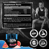 Animal Supercharged Creatine Monohydrate Powder 230g Watermelon on a gym bench