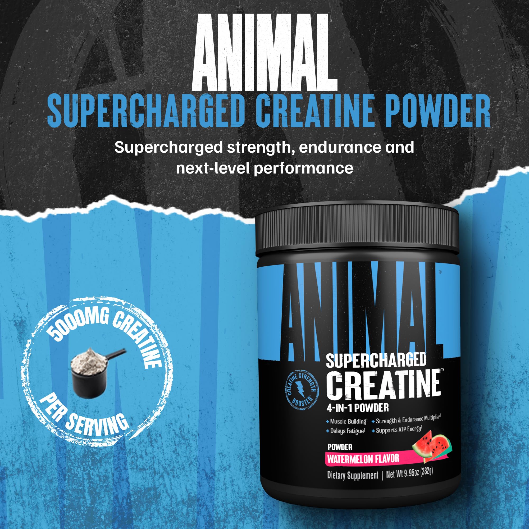 Animal Supercharged Creatine Monohydrate Powder 230g Watermelon packaging