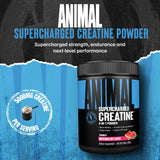 Animal Supercharged Creatine Monohydrate Powder 230g Watermelon packaging