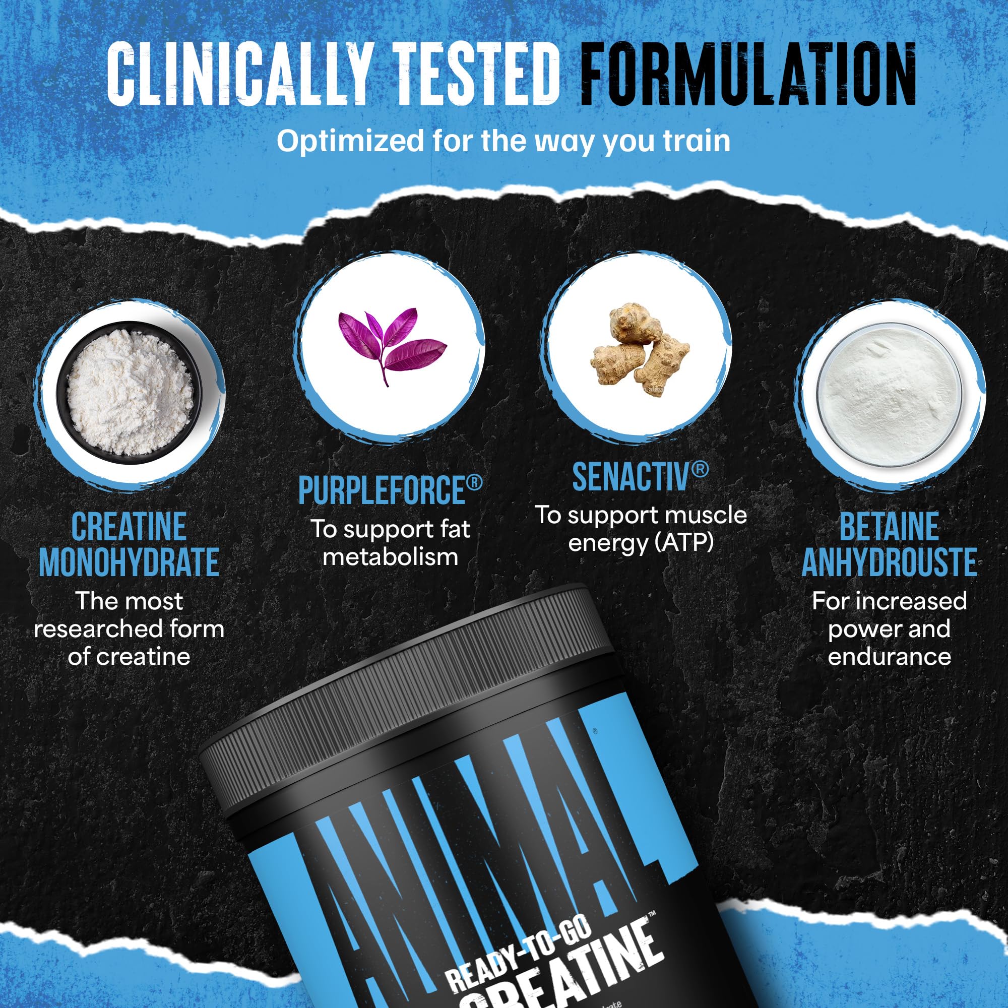 Animal Supercharged Creatine Monohydrate Powder 230g Watermelon side view