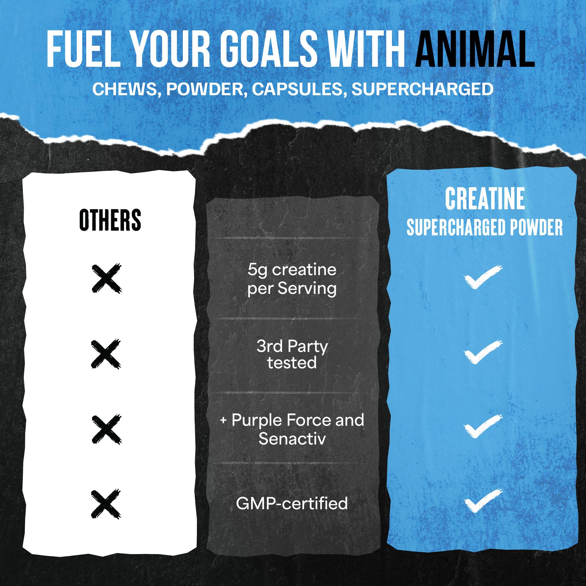 Animal Supercharged Creatine Monohydrate Powder 230g Watermelon with workout gear