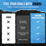 Animal Supercharged Creatine Monohydrate Powder 230g Watermelon with workout gear