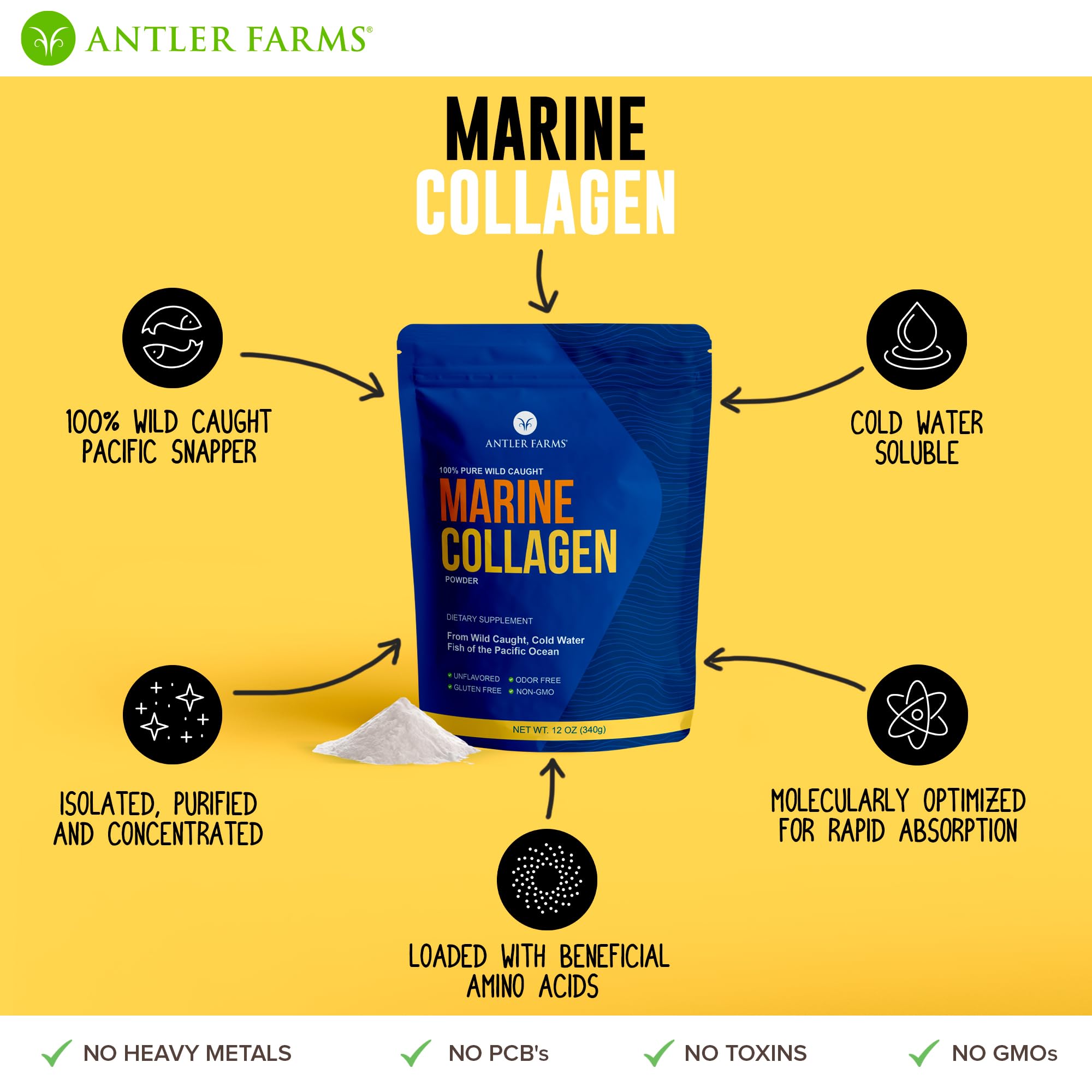 Antler Farms Marine Collagen Powder close-up of texture