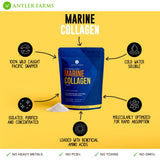 Antler Farms Marine Collagen Powder close-up of texture