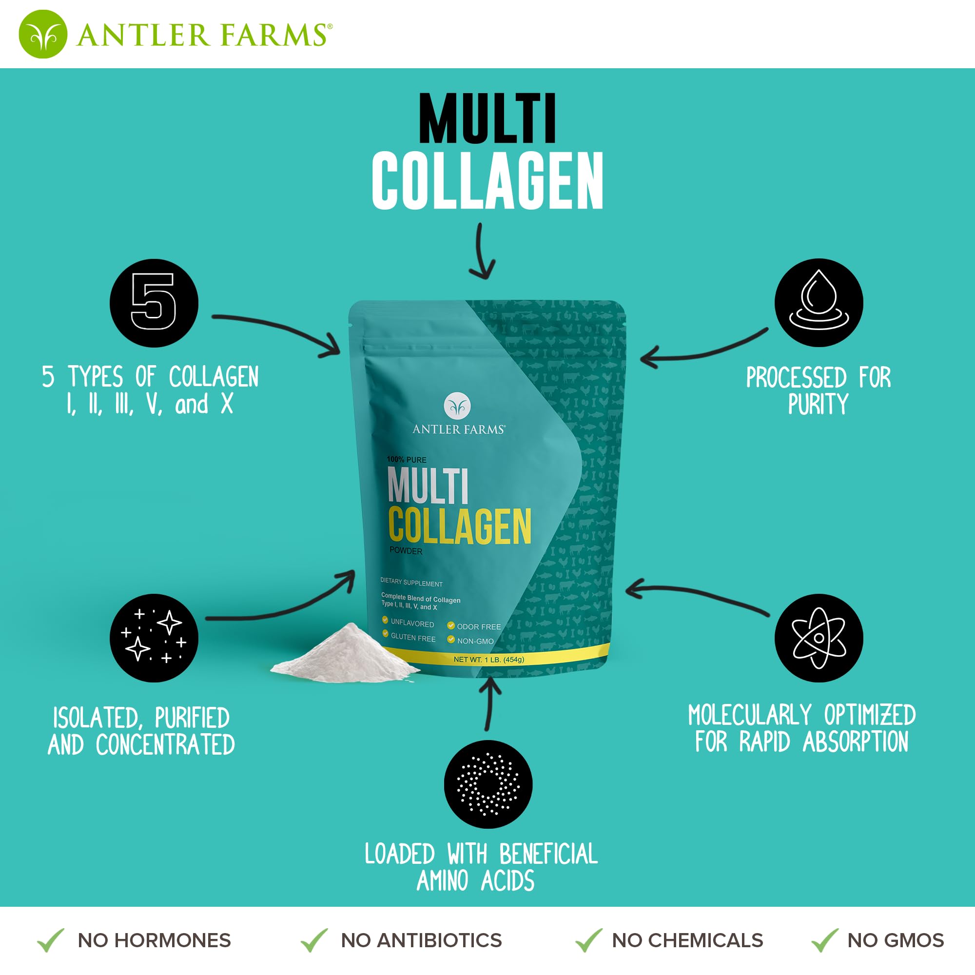 Antler Farms Multi Collagen Protein Powder lifestyle scene with ingredients