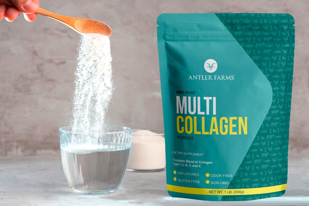 Antler Farms Multi Collagen Protein Powder scoop showing powder texture