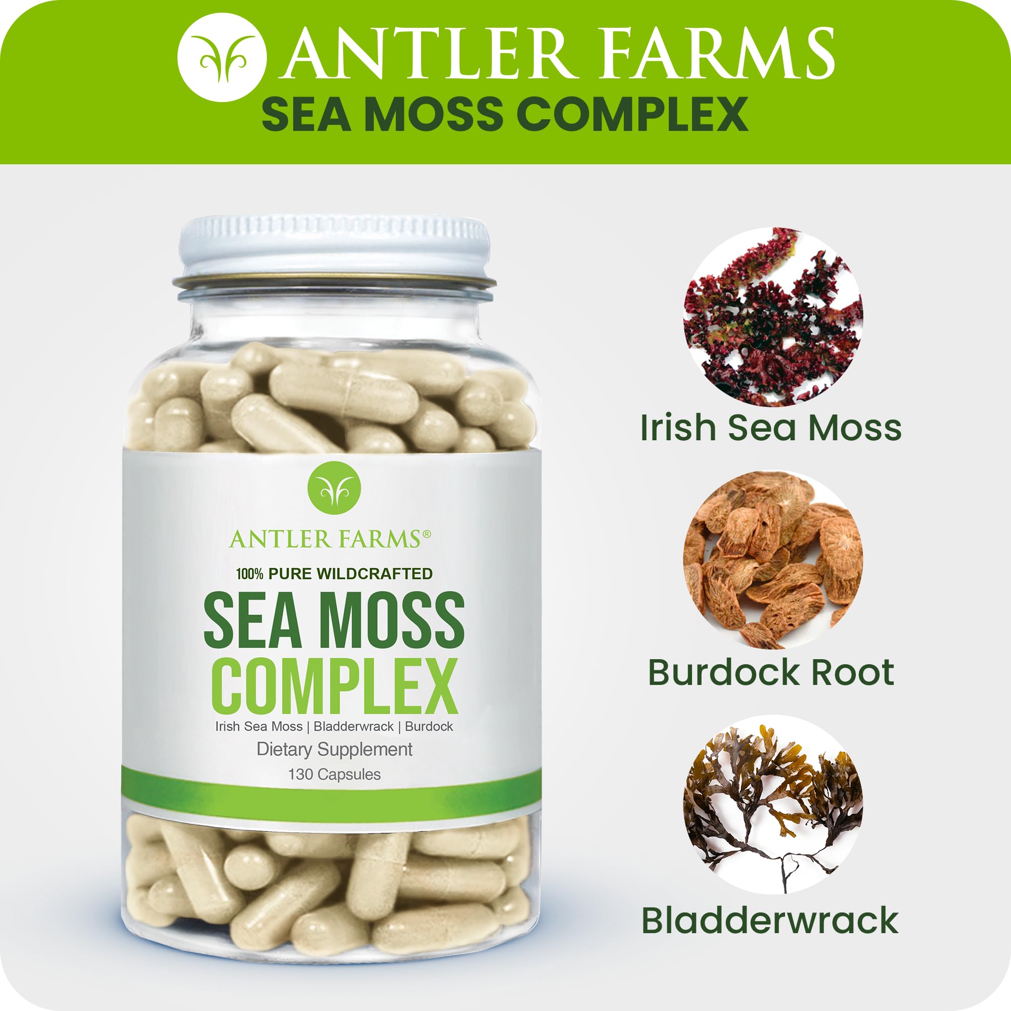 Antler Farms Sea Moss Complex close-up of capsules