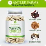 Antler Farms Sea Moss Complex close-up of capsules