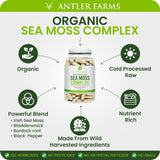 Antler Farms Sea Moss Complex in a lifestyle setting