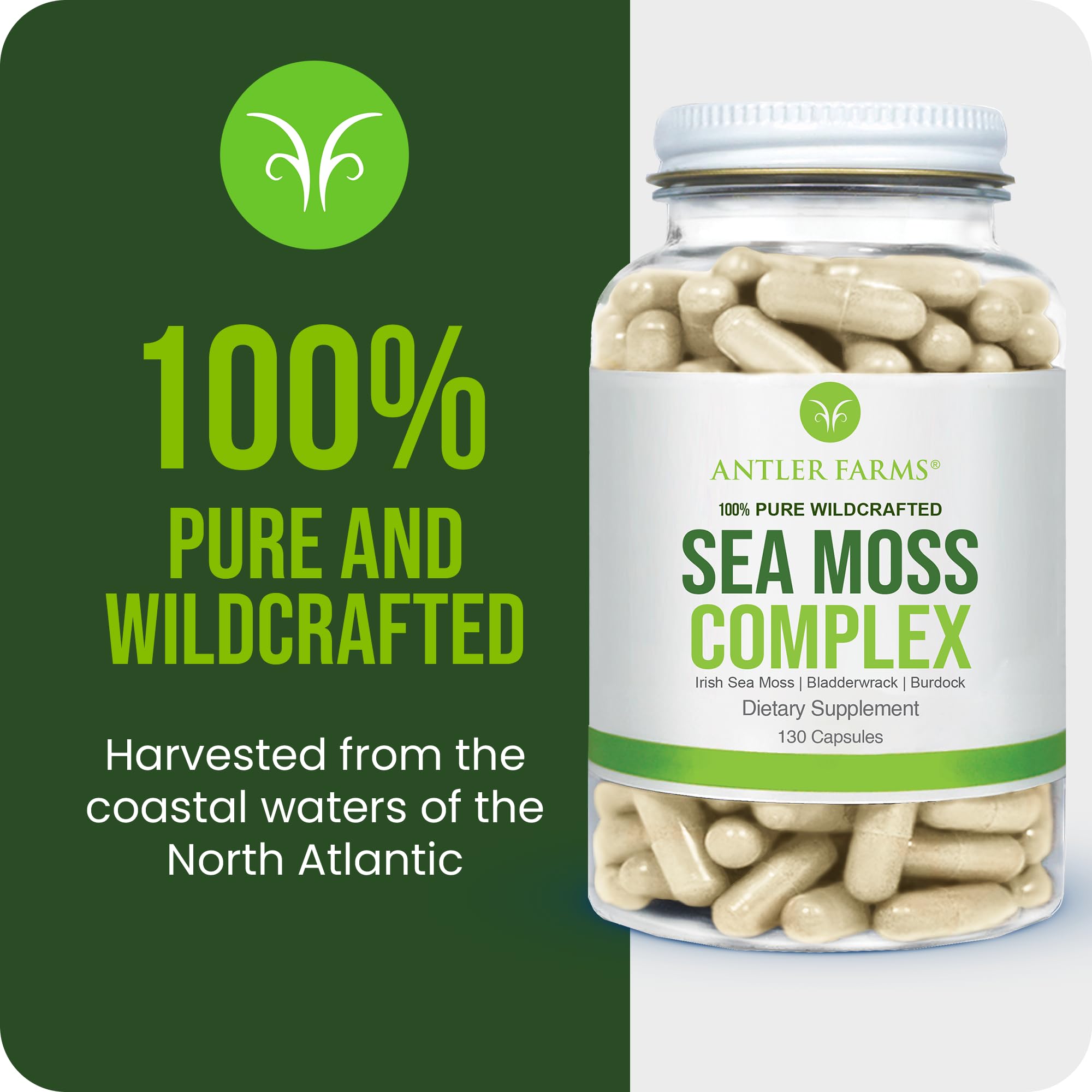 Antler Farms Sea Moss Complex packaging side view