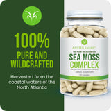 Antler Farms Sea Moss Complex packaging side view