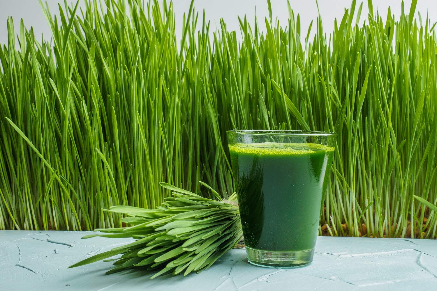 Antler Farms Wheat Grass Powder 200g in a bowl with a spoon