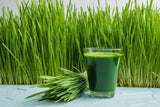 Antler Farms Wheat Grass Powder 200g in a bowl with a spoon
