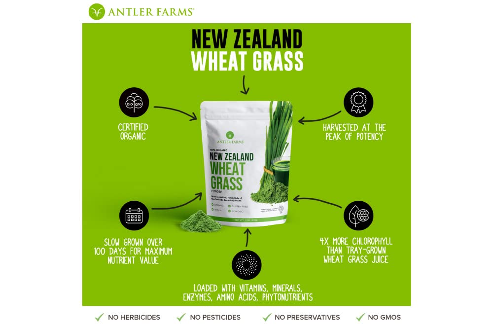 Antler Farms Wheat Grass Powder 200g lifestyle scene with fresh ingredients