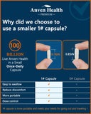 Anven Health Probiotic Supplement 100 Billion CFU 60 Capsules lifestyle scene