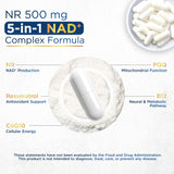 Anyglory NAD+ Supplement 500mg Resveratrol capsule bottle side view