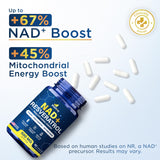 Anyglory NAD+ Supplement 500mg Resveratrol capsules in a clear glass