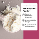 Apeiron Elementals NAC + Glycine Powder Peach Mango scoop