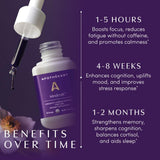 Apothékary Mindcraft blended vitamin supplement with fresh berries
