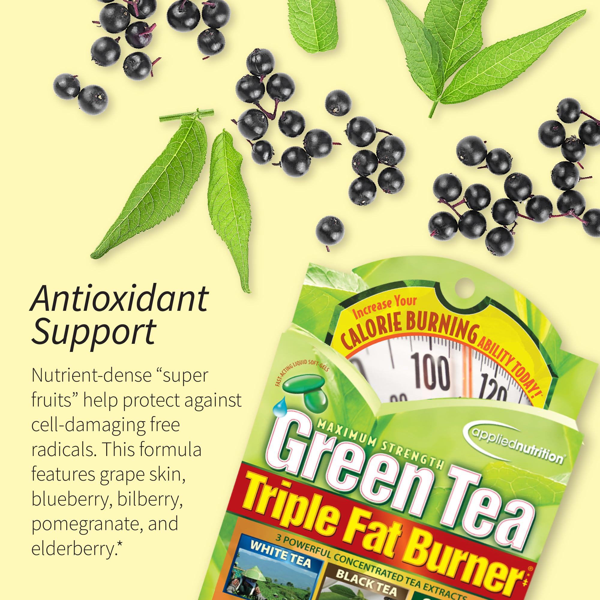 Applied Nutrition Green Tea Fat Burner 272g liquid soft-gels in hand