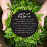 Applied Nutrition Green Tea Fat Burner 272g side view of packaging