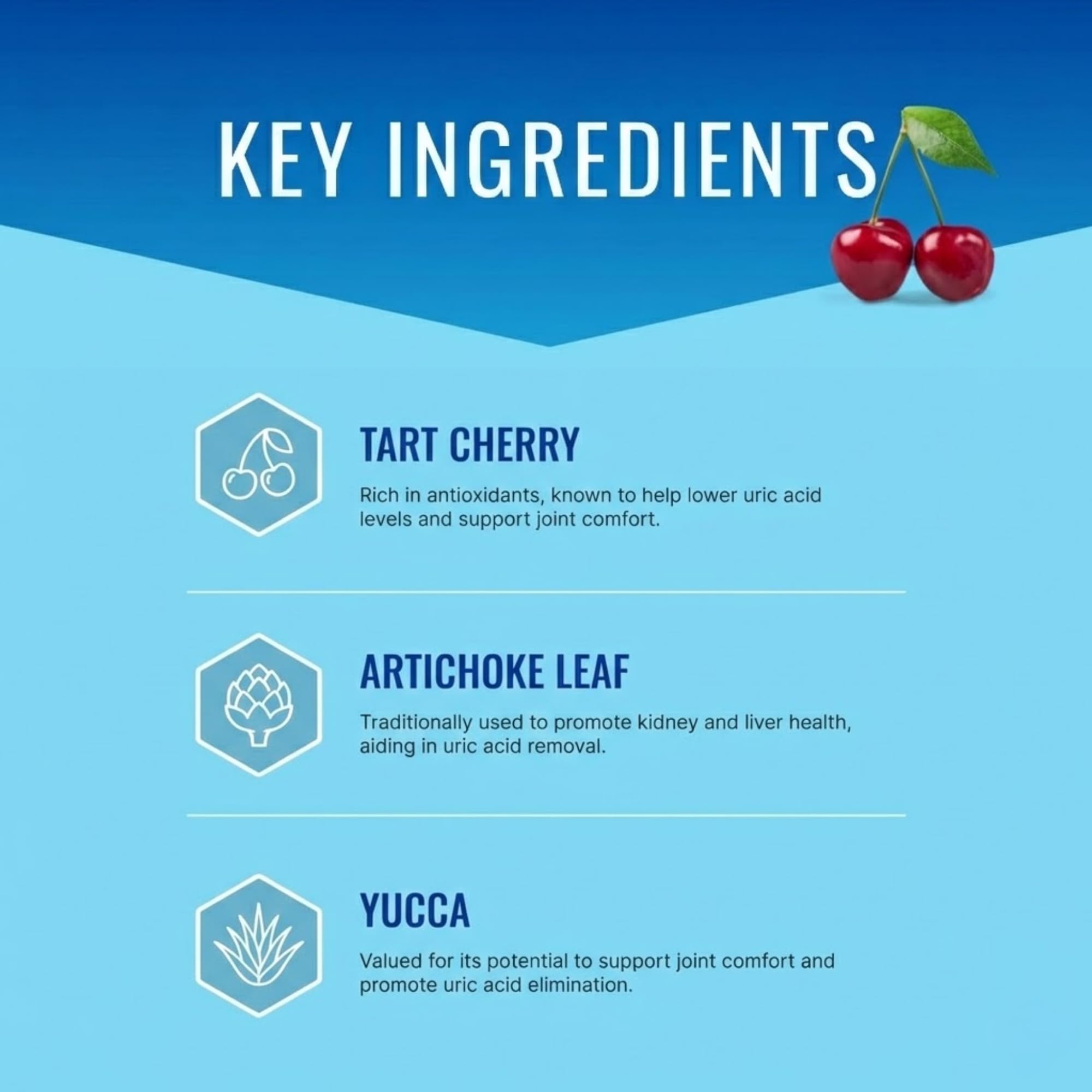 Approved Science Folic Acid Supplement ingredients list