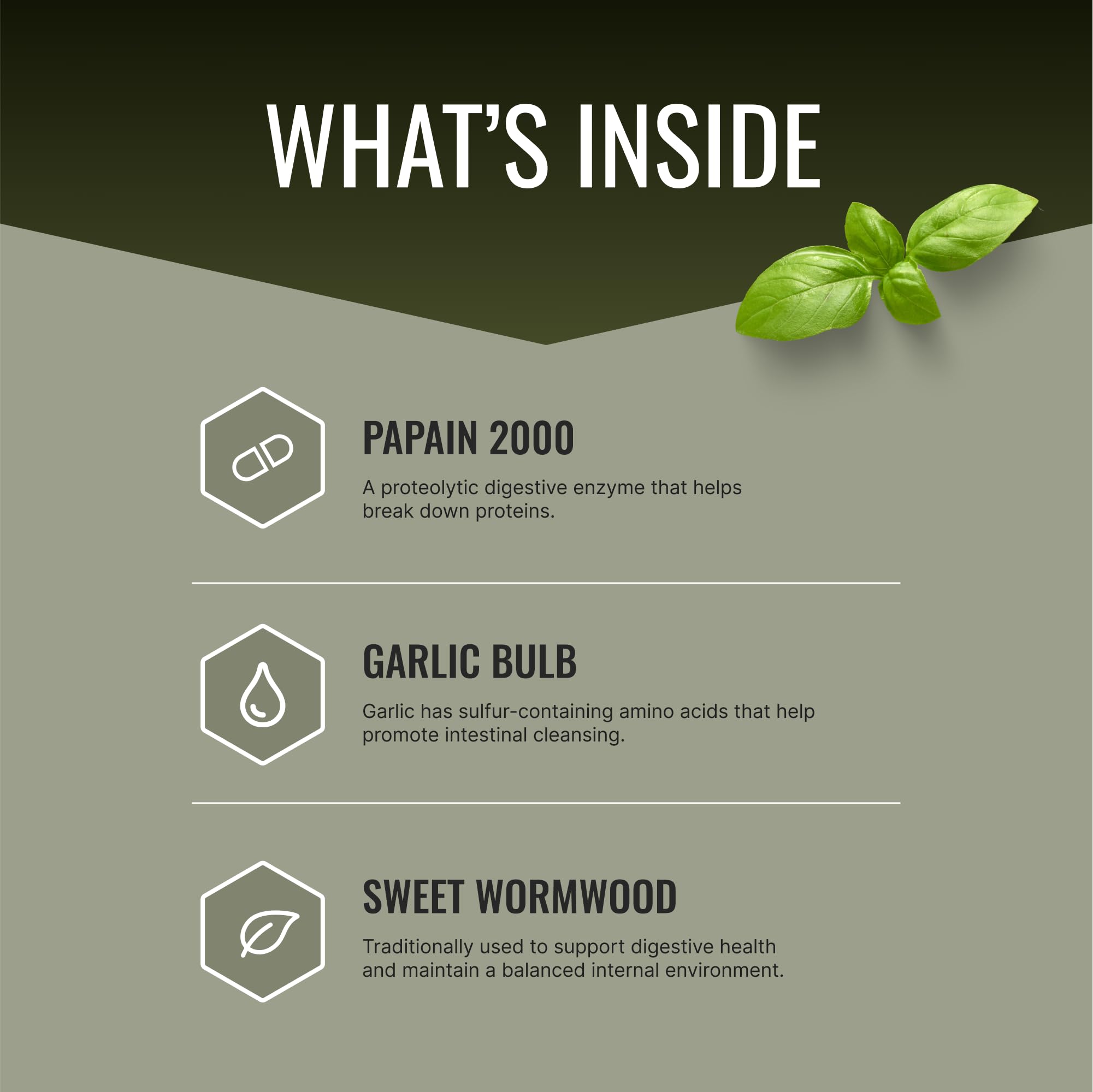 Approved Science Parastrin Garlic Supplement side view showing capsule details